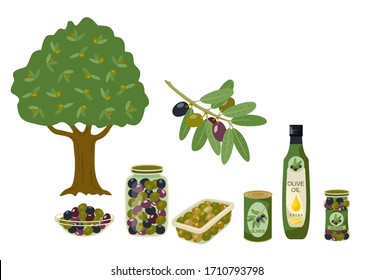 Olive products collection. Olive oil, branches, bottles illustration. Olive oil capacity bottle and canned olive. Vector illustration. 