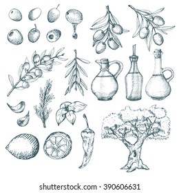 Olive products   supplements sketch  Simple vintage illustrations 