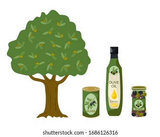 Olive products vector collection. Olive tree, oil, bottles illustration. Bottle of olive oil, capacity bottle and canned olive