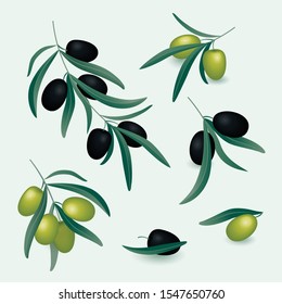 Olive realistic branches set with black and reen olives on white background isolated 1