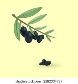 Olive realistic. Greek nature food olive branches