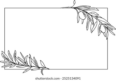 Olive retangular, quadrado Quadro. Ramos de azeitona desenhados à mão e Frutas. Ilustração vetorial para logotipos e papéis de carta.