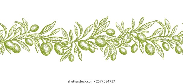 Olive repeat pattern. Vector texture strip. Green branch, oil fruits. Farm botanical plantation. Mediterranean greek food. Vintage engraving background for fabric, kitchen textile, packaging