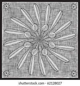 olive rosette woodcut