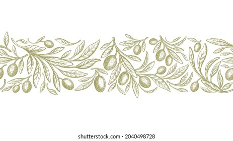 Olive seamless pattern in repeat stripe. Vector hand drawn decorative print. Texture tree, green fruit, retro leaves on white background. Wild oil food