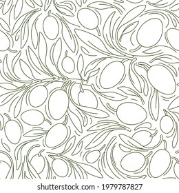 Olive seamless pattern. Vector art line background. Nature branch, green fruit. Graphic illustration. Greek organic food