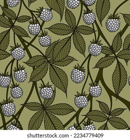 OLIVE SEAMLESS VECTOR BACKGROUND WITH WHITE BLACKBERRY FRUITS