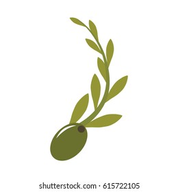olive seeds icon