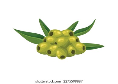 olive seeds and leaf icon isolated