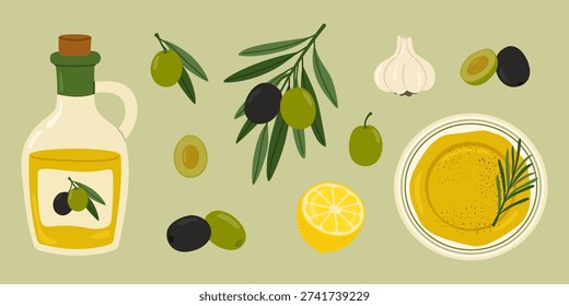 Olive set with black and green olives, tree branches, bottle of olive oil, plate with rosemary oil, garlic and lemon. Mediterranean food great for culinary, health projects. Flat vector illustration.