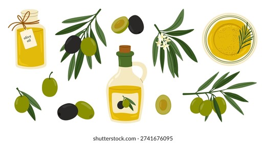 Olive set with branches, black and green olives, jar and bottle of olive oil, plate with rosemary oil. Mediterranean food great for culinary, health projects. Flat vector illustration.