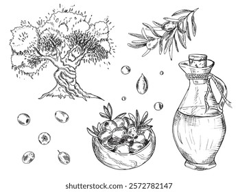 Olive set. Branches, isolated Fruits and olives in a Wooden Bowl, olive tree and Oil Drops, glass Jug. Hand drawn botanical line art, vector illustration. For cards, menu, product and italian or greek