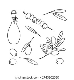 Conjunto de aceitunas, ilustración de línea vectorial de tracción manual. El conjunto está formado por una bufanda, hojas, aceitunas, una botella de aceite de oliva, aceitunas en una brocheta.