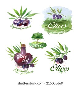 Olive set. Vector format