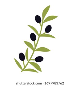 Olive simple isolated vector branch