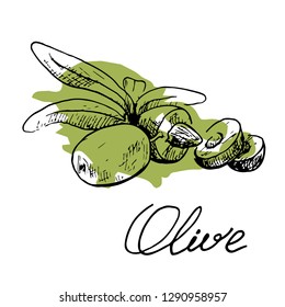 Olive sketch and color blot. Hand drawn, graphics illustration
