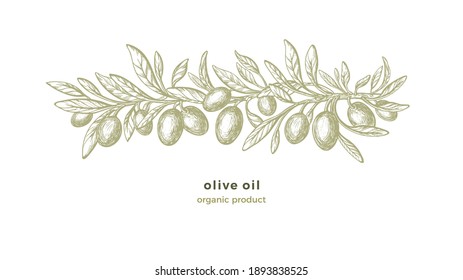 Olive sketch pattern. Vector hand drawn decorations with texture branches, green fruit, vintage leaf on white background. Organic nature illustration. Vegan food