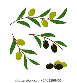 Olive sprigs set flat illustration