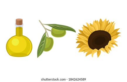 Olive and Sunflower Organic Vegetable Oil in Glass Jars Vector Set