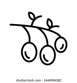 olive thin line vector icon