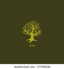 OLIVE TREE