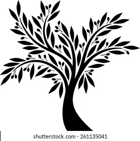 Olive tree