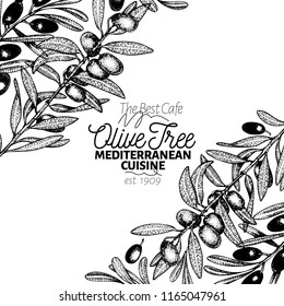 Olive tree banner template. Vector vintage illustration. Hand drawn engraved style background. Design for olive oil, olive packaging, natural cosmetics, health care products. Retro style image.