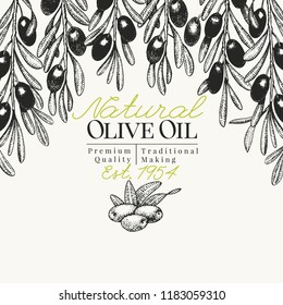 Olive tree banner template. Vector vintage illustration. Hand drawn engraved style background. Design for olive oil, olive packaging, natural cosmetics, health care products. Retro style image.