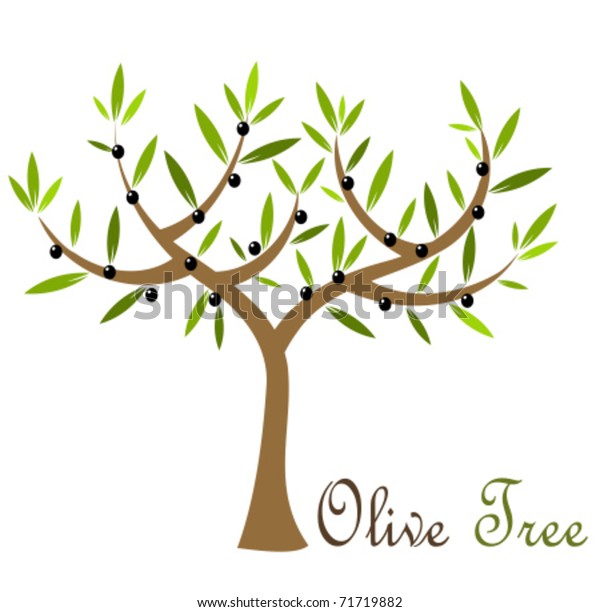 Olive Tree Black Olives Vector Illustration Stock Vector (Royalty Free