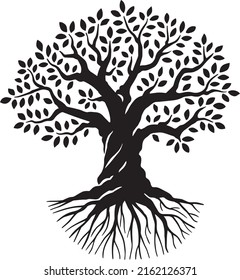 Olive tree. Black and white vector illustration