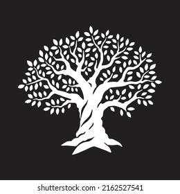 Olive tree. Black and white vector illustration