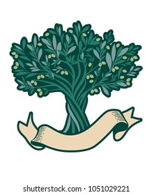 Olive tree and blank text banner. Extra virgin olive oil symbol. Symbol of culture and Mediterranean food.