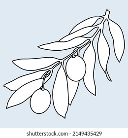 Olive tree branch with olive berries, line, minimalist monochrome botanical illustration on a blue-white background, Vector illustration.