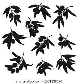 Olive tree branch black silhouettes with vector olive fruits and leaves. Oil food ingredients of Greece and Italy, mediterranean cuisine vegetable condiment and salad dressing design