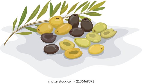 olive tree branch and black and white olives