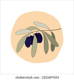 Olive tree branch in cartoon style. Vector illustration.