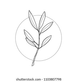 Olive Tree Branch In Geometric Background. Simple Icon Composition. Vector Illustration. Line Work. Modern Monochrome Logotype. Nature Representation.