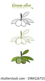 Olive tree branch hand drawn illustration in sketch style. Set of illustrations of olive branch. Botanical illustration. Design elements for label, emblem, banner.