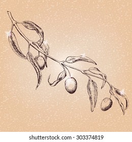 olive tree branch. Hand drawn sketch on textured background