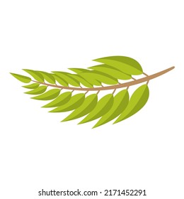 Olive tree branch icon cartoon vector. Oil food. Vegetable fruit