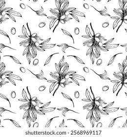 Ramo de oliveira, folhas e bagas padrão sem costura. ilustração de desenho linear de vetor desenhado à mão botânica. Clipart floral para tecido, pacote, papel de parede, embalagem de alimentos. Isolado do plano de fundo