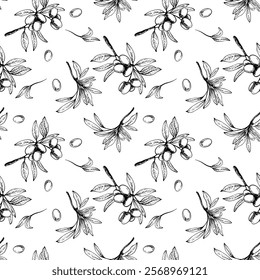 Ramo de oliveira com folhas e bagas vetor de fruto padrão sem emenda. Desenho linear preto e branco desenho desenhado à mão ilustração. Clipart botânico para tecido, papel de parede impressão. Isolado do plano de fundo