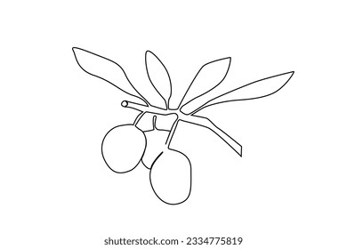 olive tree branch leaves fruit line art