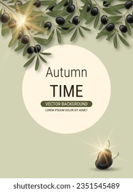 Olive tree branch with leaves and ripe fruits vector illustration. Design for banner, flyer, promo poster, discount card