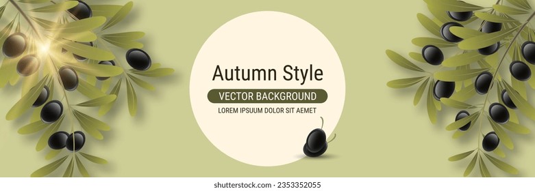 Olive tree branch with leaves and ripe fruits vector illustration. Design for banner, flyer, promo poster, discount card
