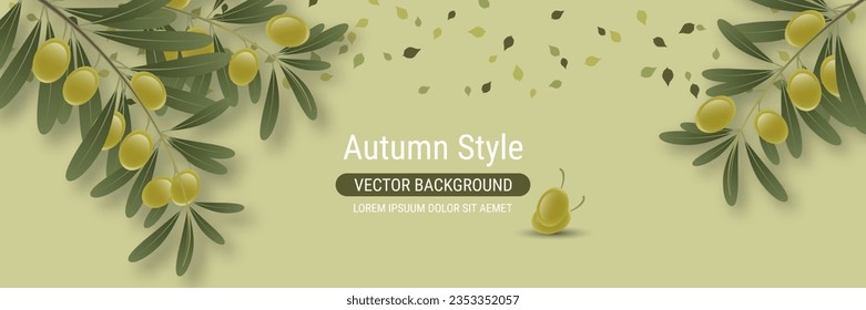 Olive tree branch with leaves and ripe fruits vector illustration. Design for banner, flyer, promo poster, discount card