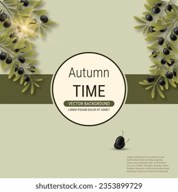 Olive tree branch with leaves and ripe fruits vector illustration. Design for banner, square flyer, promo poster, discount card