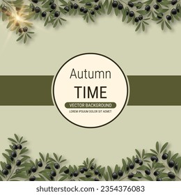 Olive tree branch with leaves and ripe fruits vector illustration. Design for banner, square flyer, promo poster, discount card