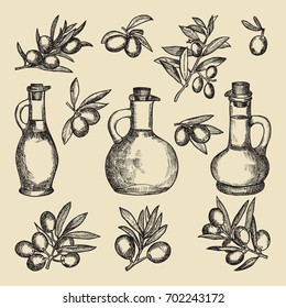 Olive tree branch, oil and bottle. Hand drawn vintage pictures of different olive products