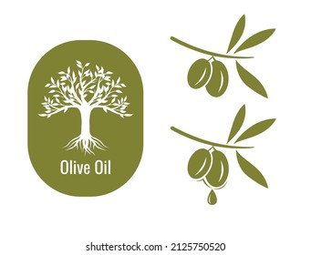 olive tree and olive branch, olive oil vector illustration design